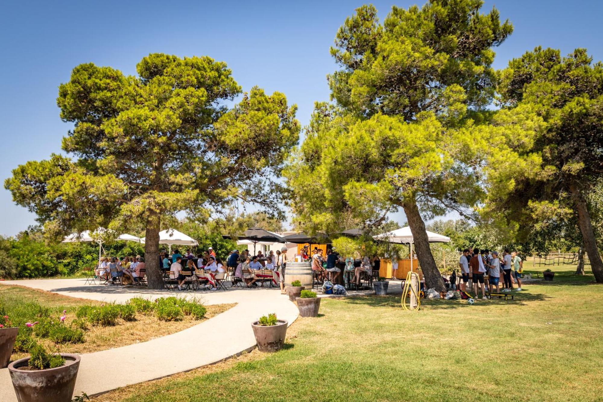 Lou Mas Dou Juge Saintes-Maries-de-la-Mer Exterior foto
